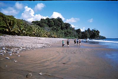 group walking down the beach